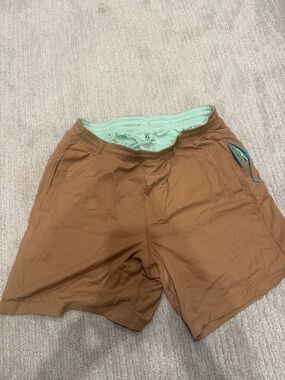 Birddog Casual Brown Men's Shorts with Mint Liner